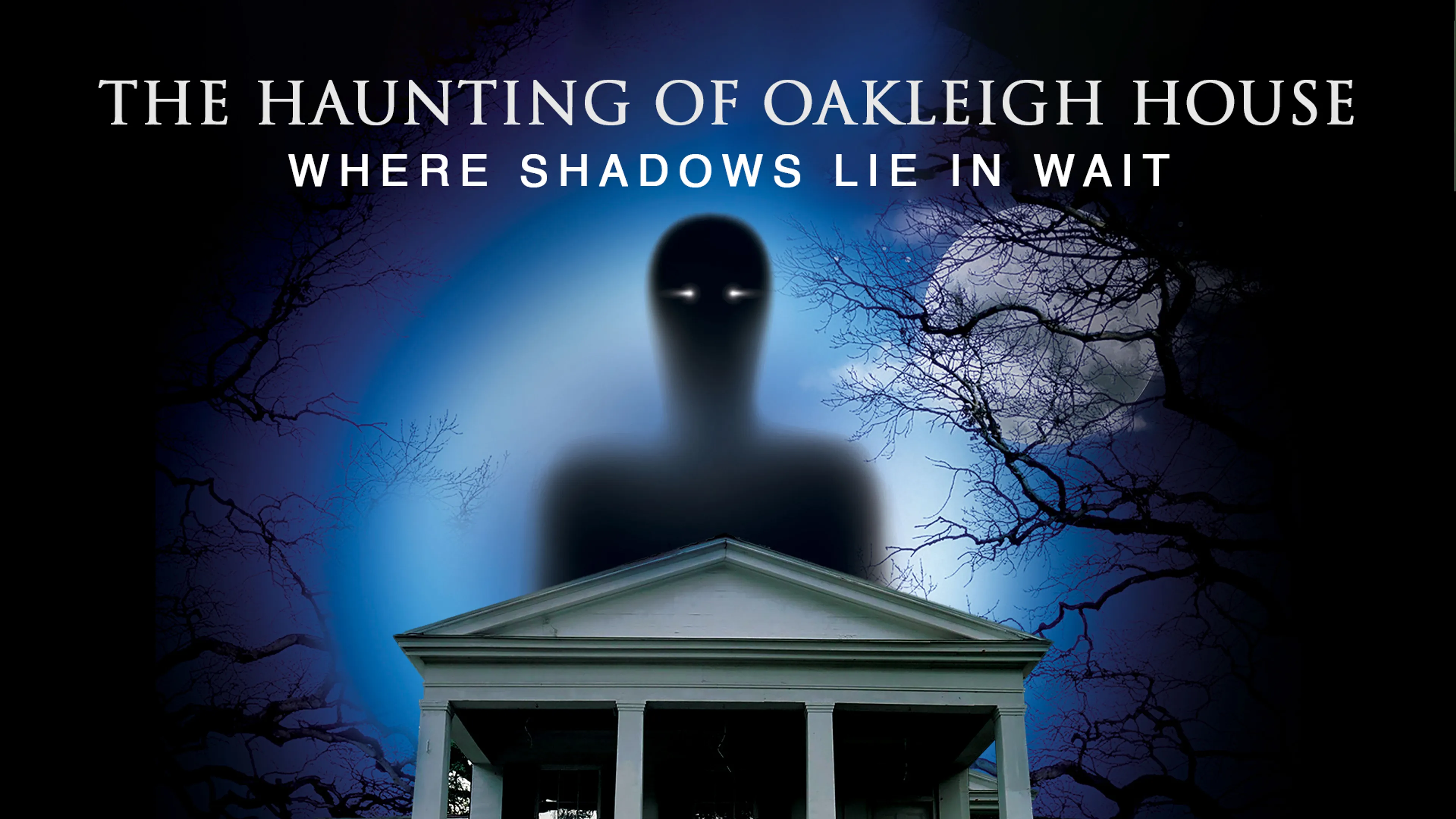 The Haunting of Oakleigh House: Where Shadows Lie in Wait poster